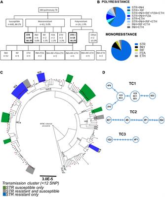 Heterogeneous Streptomycin Resistance Level Among Mycobacterium tuberculosis Strains From the Same Transmission Cluster